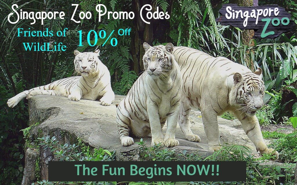 phoenix zoo lights promo code